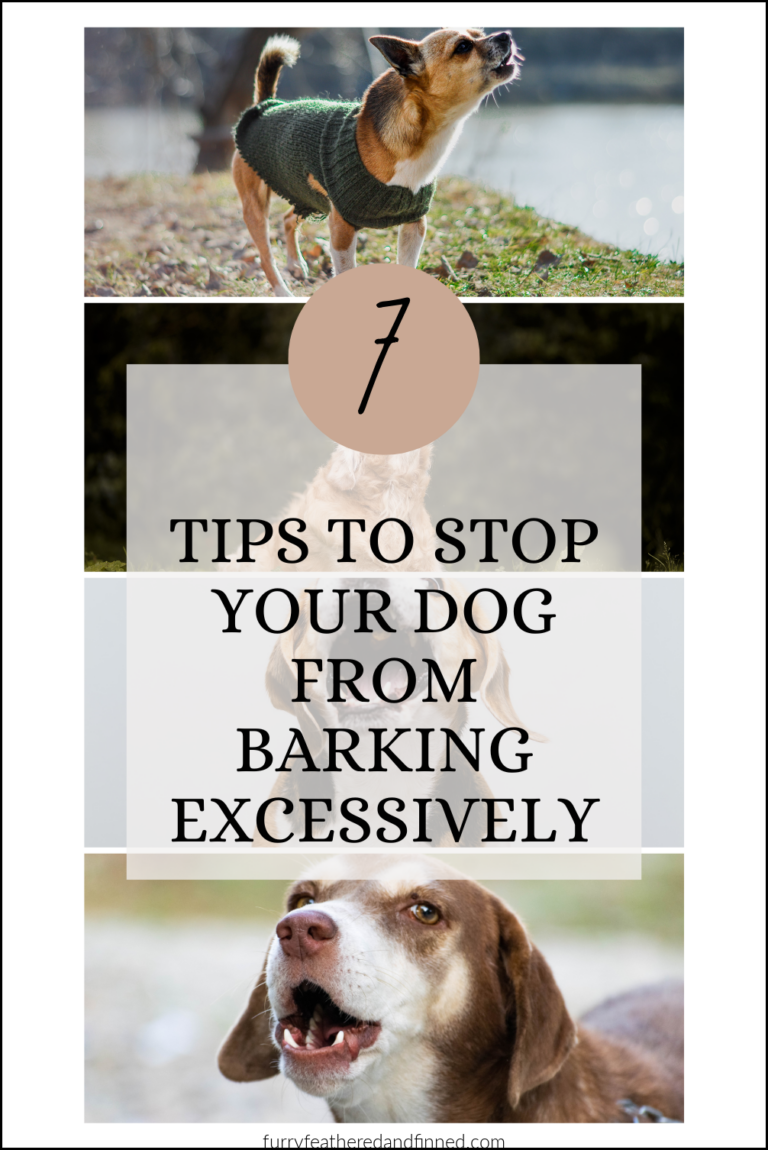 A collage of dogs barking behind the words ways to stop excessive barking